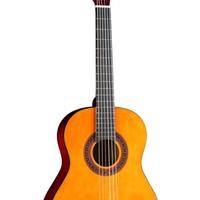 Chitarra Eko