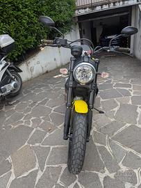 ducati scrambler