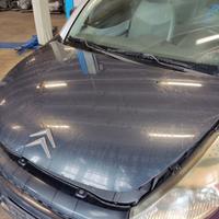 Cofano CITROEN C3 PLURIEL del 2004