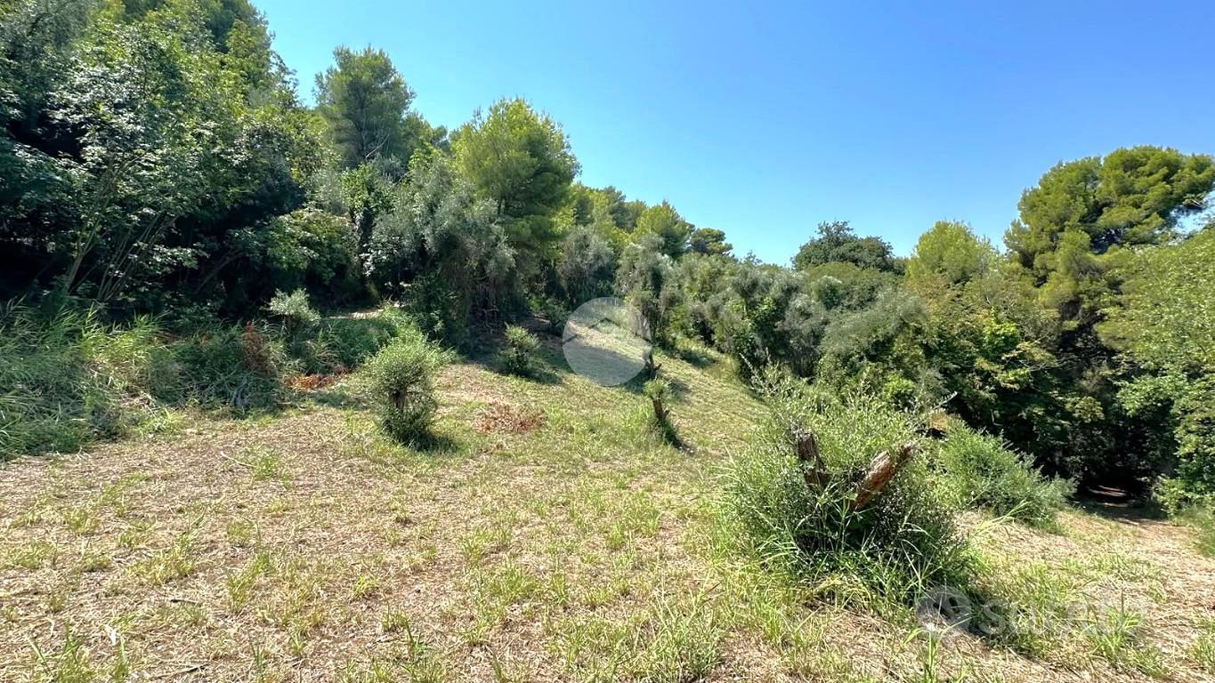 TER. AGRICOLO A GROTTAMMARE - Vista 3