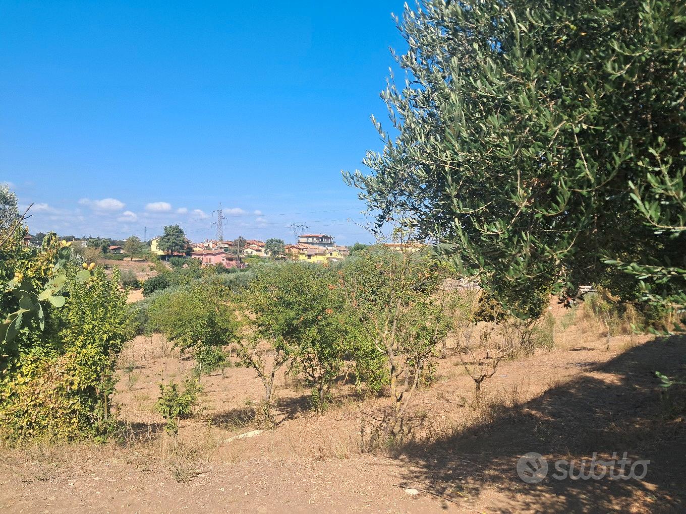 Terreno agricolo coltivato - Vista 2
