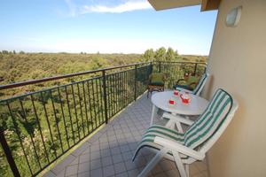 Milano Marittima bilocale vista sulla pineta