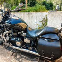 Triumph SpeedMaster 900 EFI - 2011