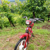 Piaggio ciao mix