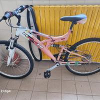 Bicicletta montebike