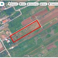 Terreno agricolo libero