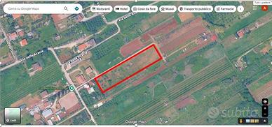 Terreno agricolo libero