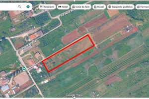 Terreno agricolo libero