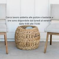 Addetta alle pulizie