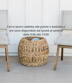 Addetta alle pulizie