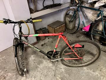 Mountain bike da ragazzo