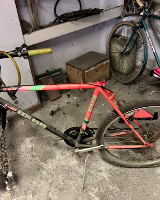 Mountain bike da ragazzo