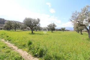 TER. RESIDENZIALE A MONTALTO UFFUGO