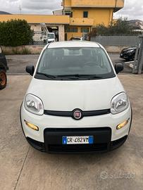 Fiat panda 1.0 hybrid 09/23 61.000km