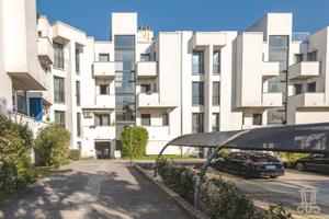 OPICINA-Nuda proprieta'