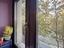 Immagine 22