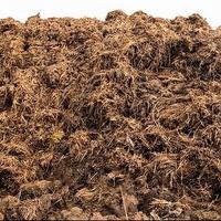 CESSIONE LETAME DI CAVALLO