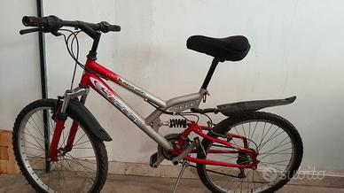 Bicicletta Mountain bike