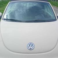 Volkswagen New Beetle 2005 usata