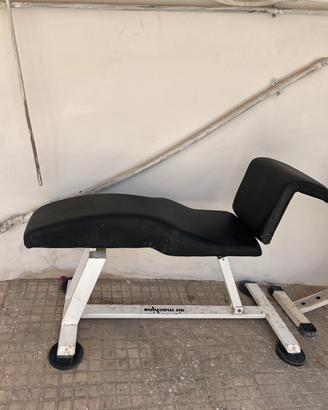 Panche palestra