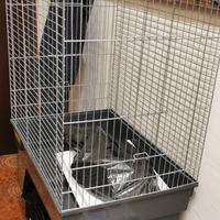 Voliera Per Pappagalli