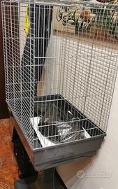 Voliera Per Pappagalli