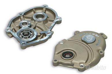 Carter copri ingranaggi Malossi motori minarelli