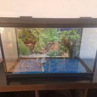 acquario 100 litri