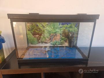 acquario 100 litri