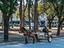 Immagine 25