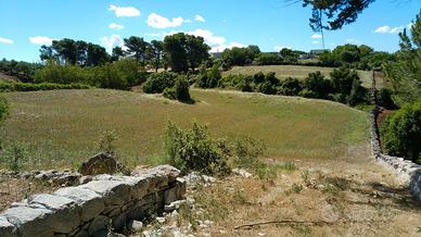 Terreno edificabile e Trulli