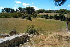 Terreno edificabile e Trulli
