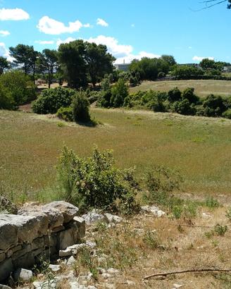 Terreno edificabile e Trulli