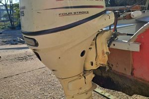 Johnson 25cv 4 tempi gambo corto