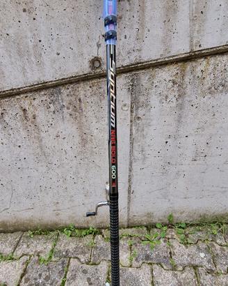 Canna da pesca Bolognese