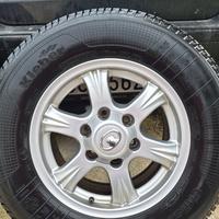 Greta Wall stedd  cerchi e gomme