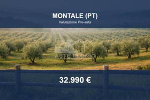 Immobile in asta di 171353 m² a Montale