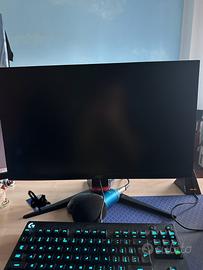 Monitor 240hz Gaming