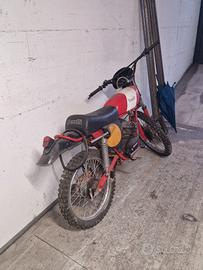 Benelli Altro modello - 1982