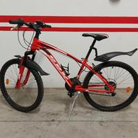 bici mountain-bike 24