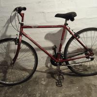 Mountain bike giant