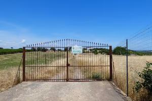 TER. AGRICOLO A SCANZANO JONICO