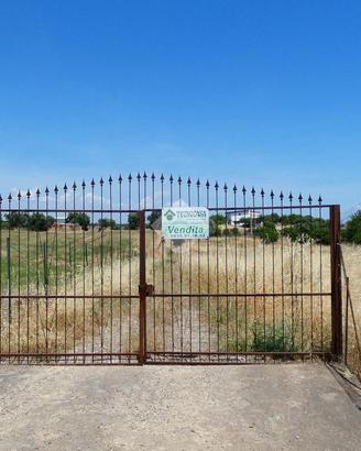 TER. AGRICOLO A SCANZANO JONICO