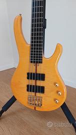 Nardelli Notorius basso elettrico 5 corde