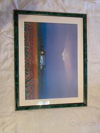 “La ferme en eté”