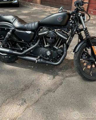 🏁 HARLEY-DAVIDSON 883 IRON (2021) 