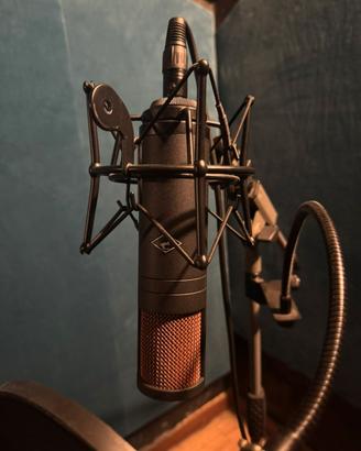 Antelope Edge Duo Microfono