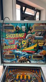 Flipper Zaccaria Shooting the Rapid