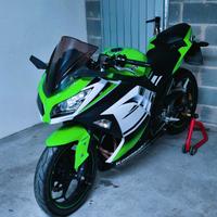 Kawasaki Ninja 300 abs - 30th anniversario
