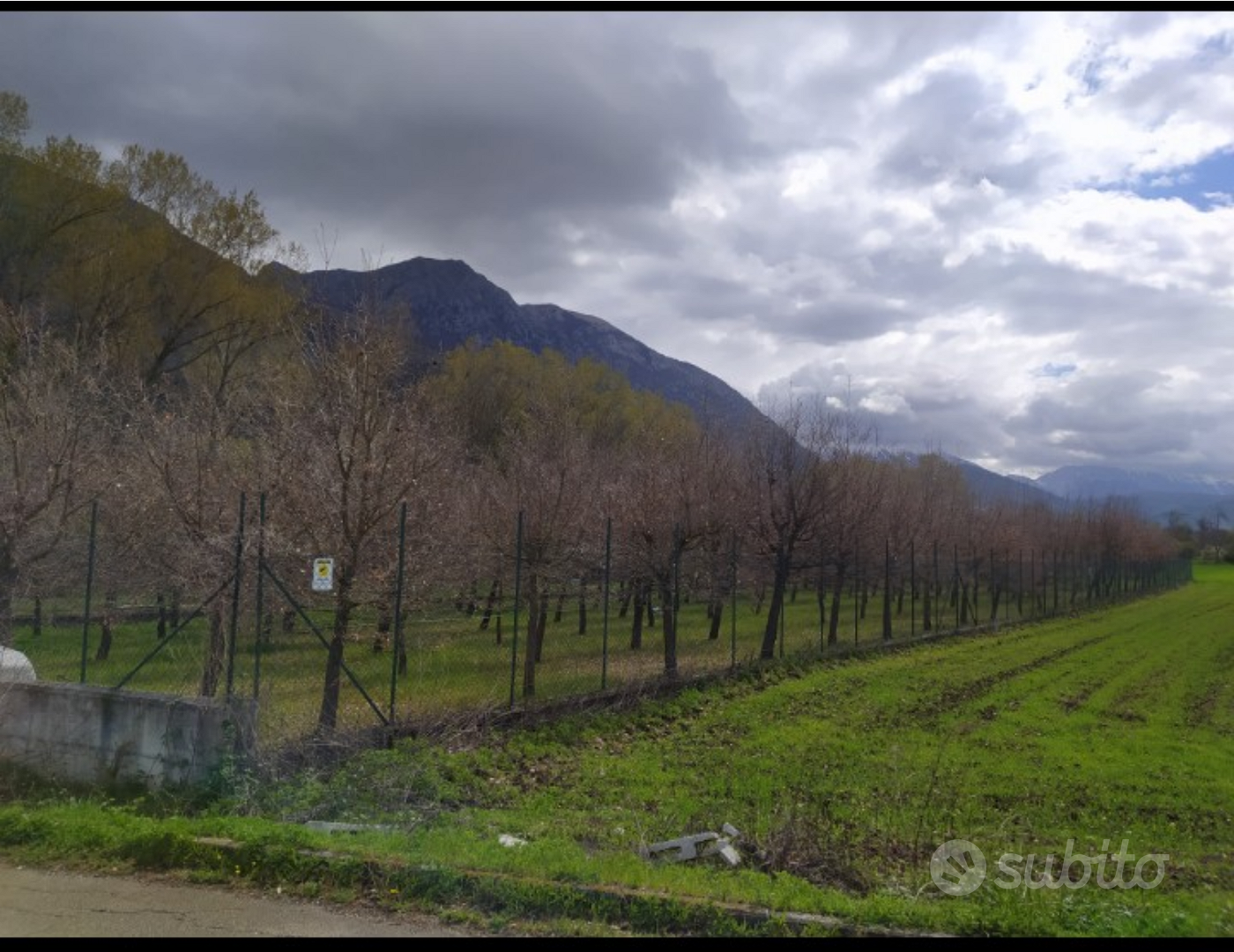 Terreno/tartufaia - Vista 2